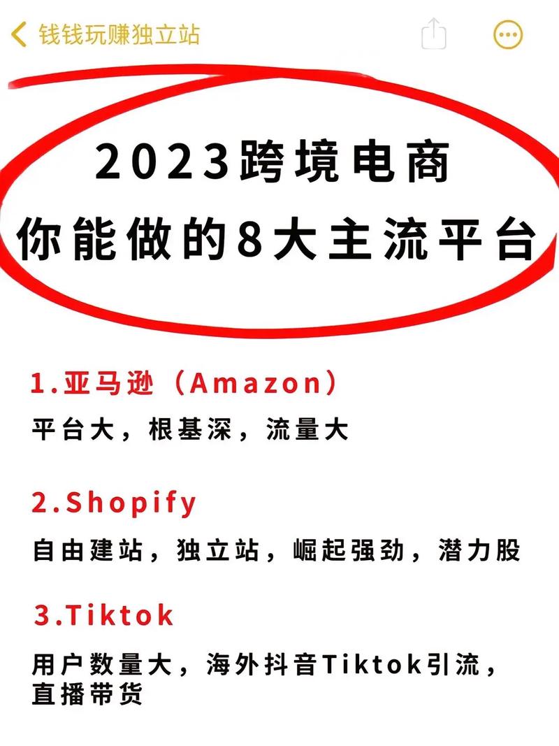 成人用品跨境电商哪个平台好,（成人用品跨境电商哪个平台好做）