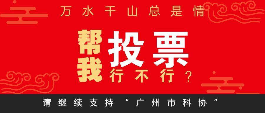 帮同事投票损失2.1万,帮人投票有没有危险