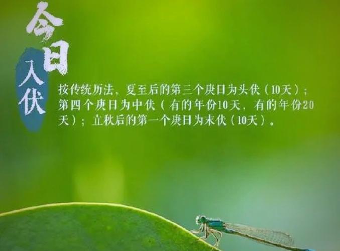 2025年正版资料免费大全和40℃高温要来了与40℃高温要来了池塘水达到271PPm有没有影响